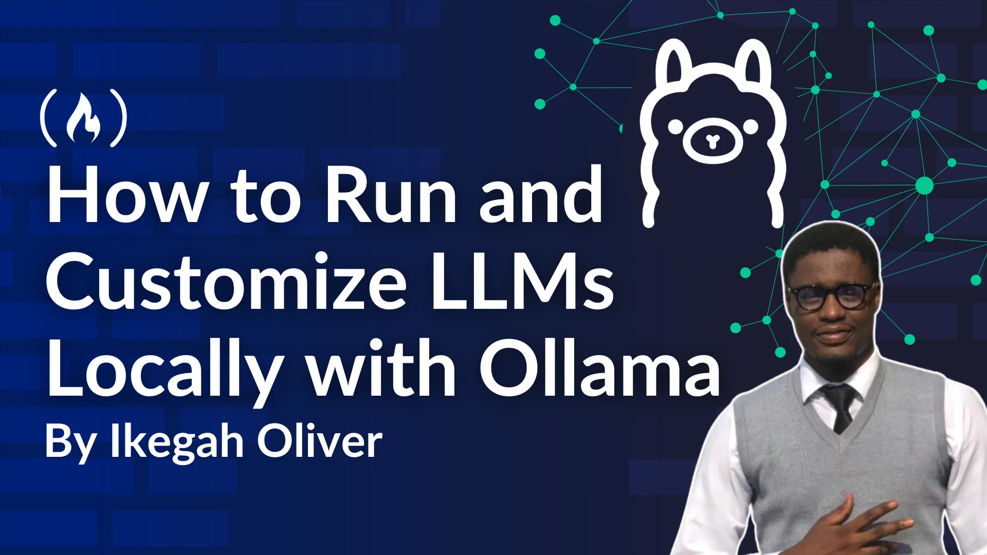 How to Run and Customize LLMs Locally with Ollama