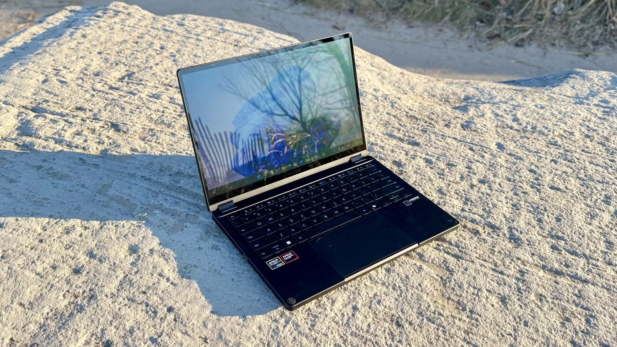 the asus proart gopro edition