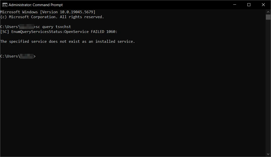 Before install. No Teramind service.