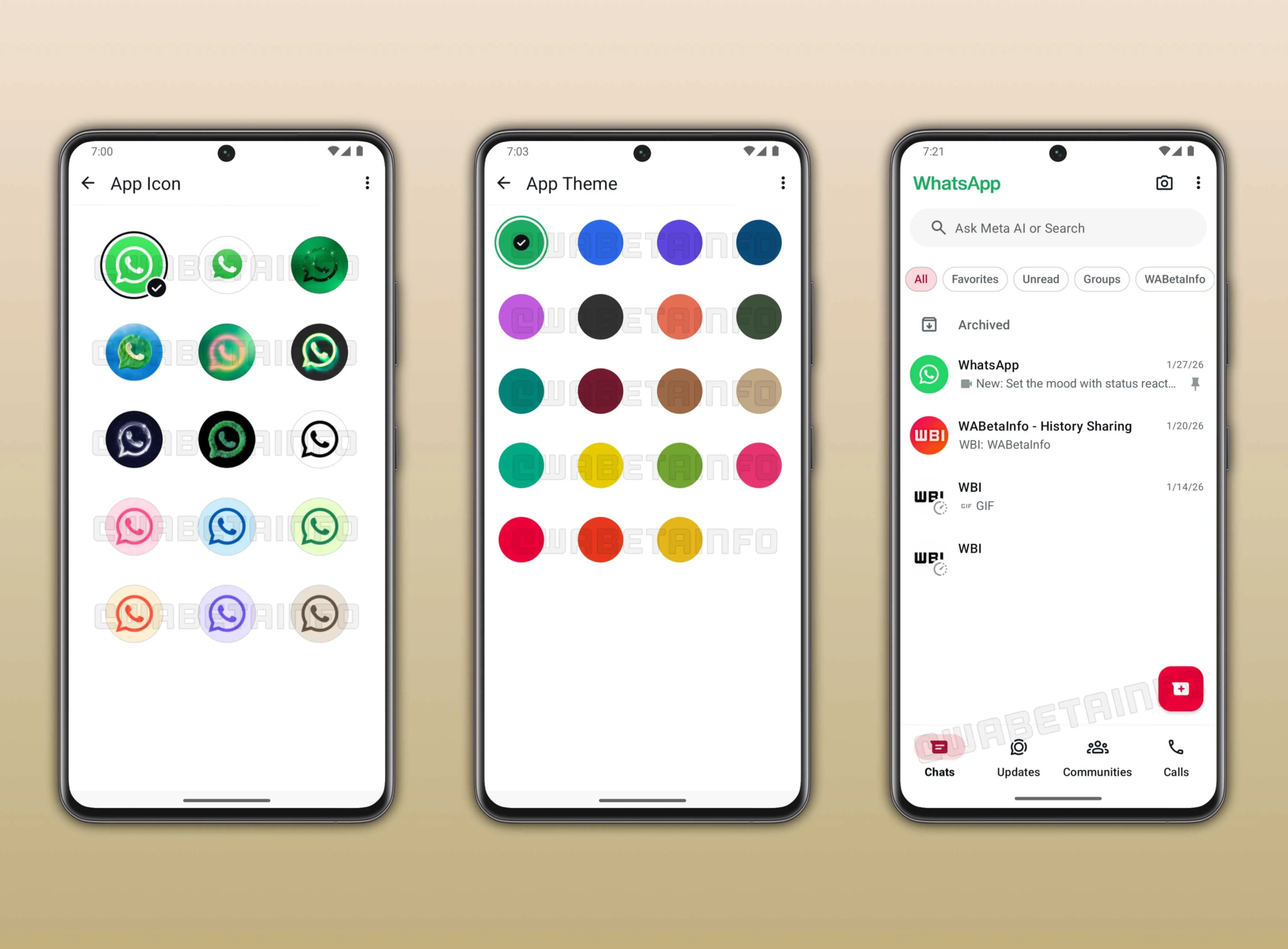 WhatsApp Plus customization features